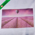 Qingyi 2015 hot sale sublimation paper para vestuário